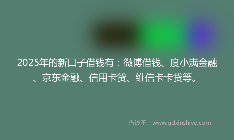 2025年的新口子借钱有：微博借钱、度小满金融、京东金融、信用卡贷、维信卡卡贷等。
