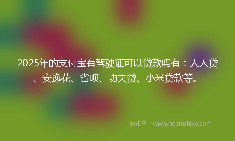 2025年的支付宝有驾驶证可以贷款吗有：人人贷、安逸花、省呗、功夫贷、小米贷款等。