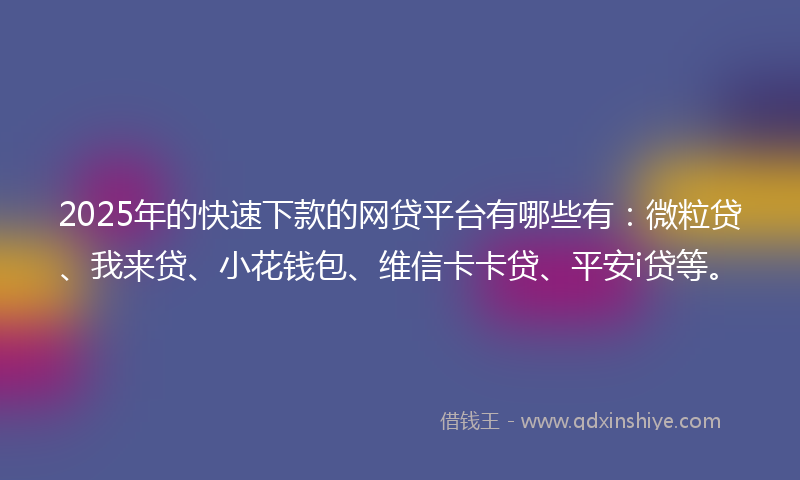 2025年的快速下款的网贷平台有哪些有：微粒贷、我来贷、小花钱包、维信卡卡贷、平安i贷等。
