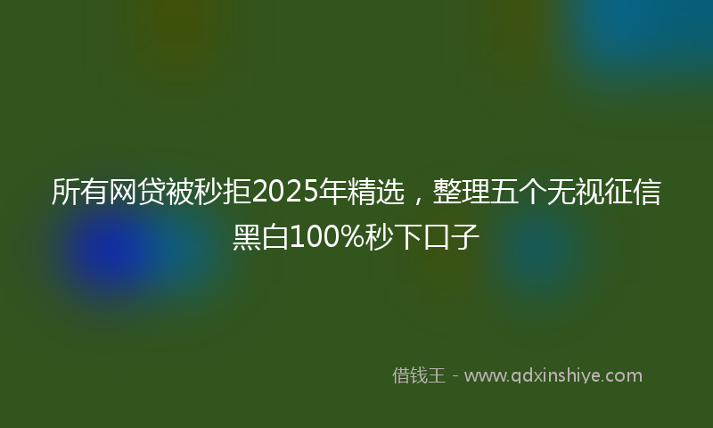 所有网贷被秒拒2025年精选，整理五个无视征信黑白100%秒下口子
