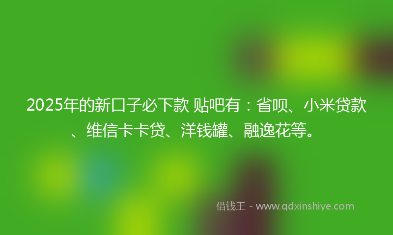 2025年的新口子必下款 贴吧有：省呗、小米贷款、维信卡卡贷、洋钱罐、融逸花等。