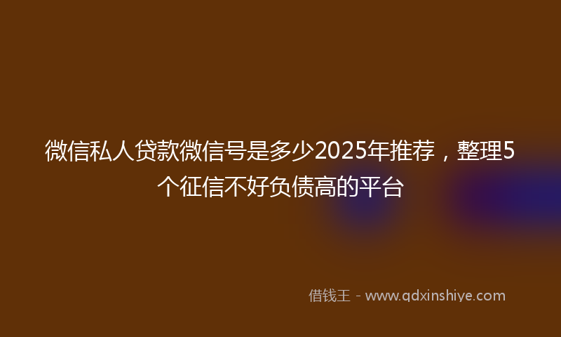 微信私人贷款微信号是多少2025年推荐，整理5个征信不好负债高的平台