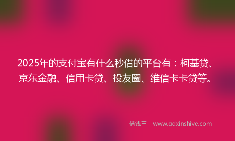 2025年的支付宝有什么秒借的平台有：柯基贷、京东金融、信用卡贷、投友圈、维信卡卡贷等。