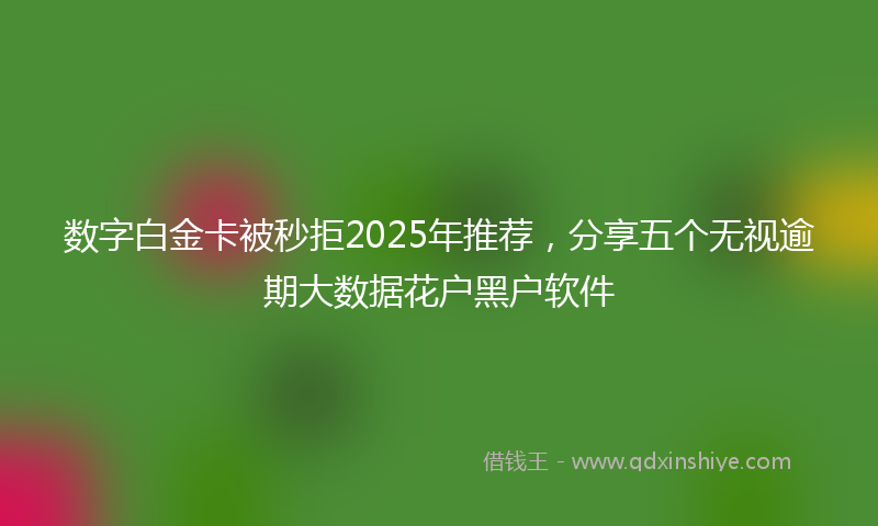 数字白金卡被秒拒2025年推荐，分享五个无视逾期大数据花户黑户软件