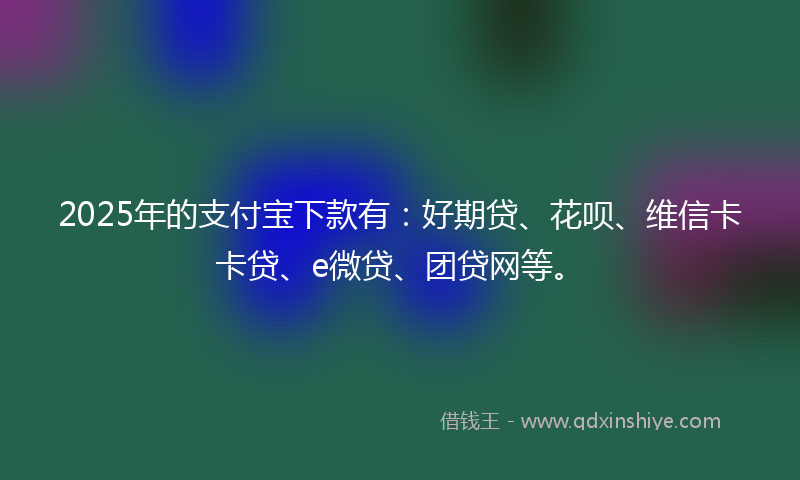 2025年的支付宝下款有：好期贷、花呗、维信卡卡贷、e微贷、团贷网等。