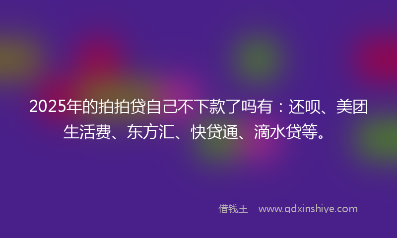 2025年的拍拍贷自己不下款了吗有：还呗、美团生活费、东方汇、快贷通、滴水贷等。