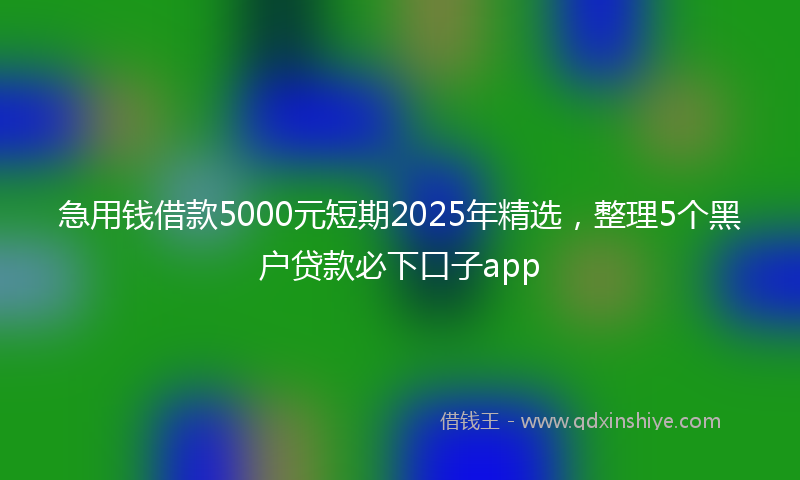 急用钱借款5000元短期2025年精选，整理5个黑户贷款必下口子app