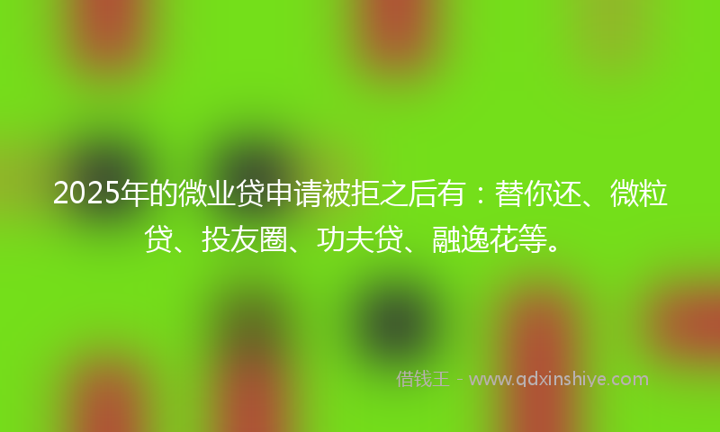 2025年的微业贷申请被拒之后有：替你还、微粒贷、投友圈、功夫贷、融逸花等。