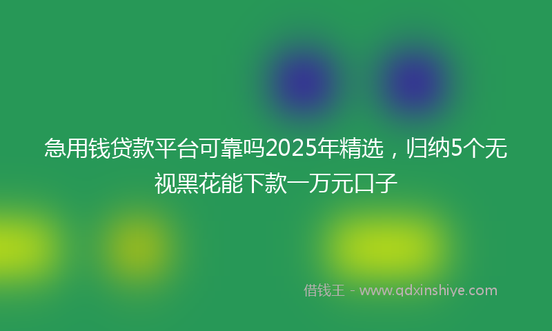 急用钱贷款平台可靠吗2025年精选，归纳5个无视黑花能下款一万元口子