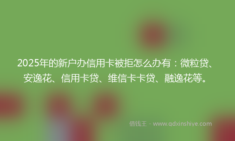 2025年的新户办信用卡被拒怎么办有：微粒贷、安逸花、信用卡贷、维信卡卡贷、融逸花等。