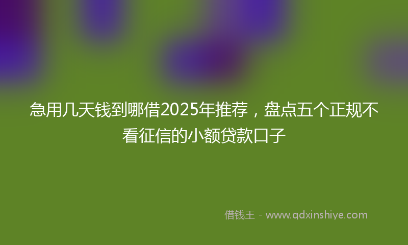 急用几天钱到哪借2025年推荐，盘点五个正规不看征信的小额贷款口子