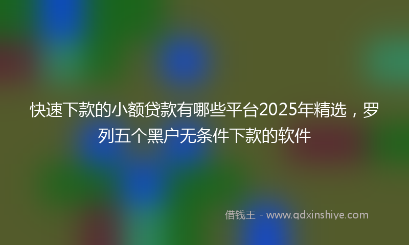 快速下款的小额贷款有哪些平台2025年精选，罗列五个黑户无条件下款的软件