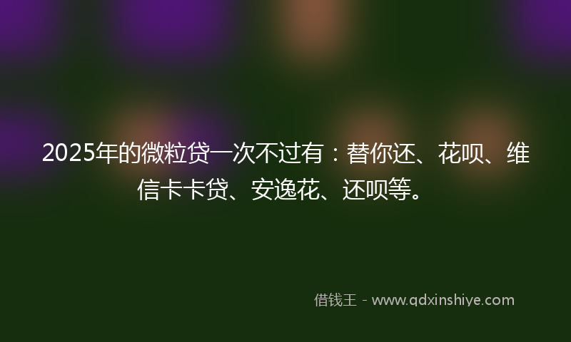 2025年的微粒贷一次不过有：替你还、花呗、维信卡卡贷、安逸花、还呗等。