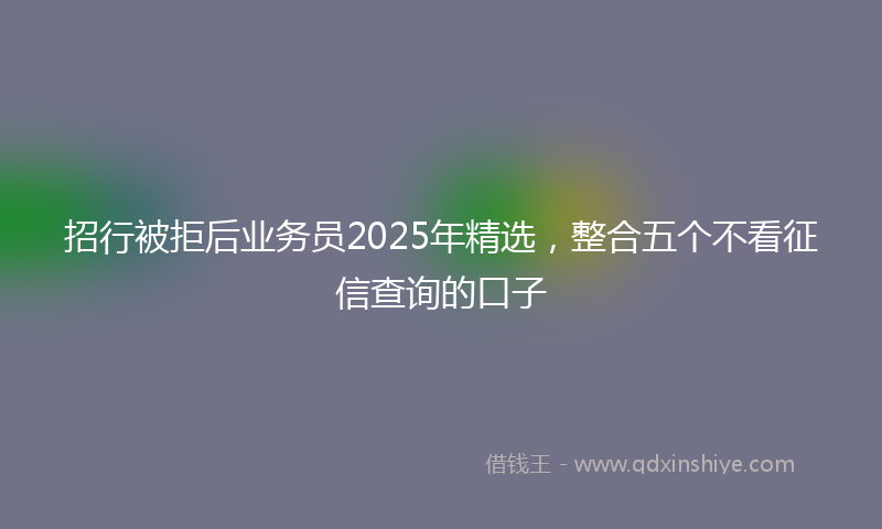 招行被拒后业务员2025年精选，整合五个不看征信查询的口子