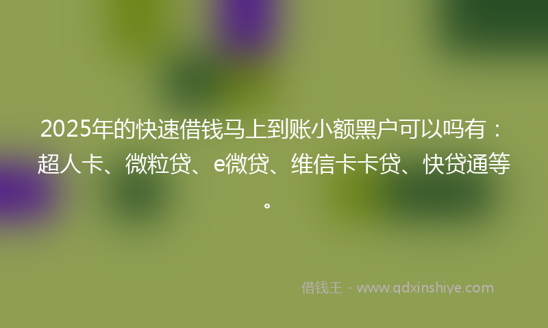 2025年的快速借钱马上到账小额黑户可以吗有：超人卡、微粒贷、e微贷、维信卡卡贷、快贷通等。