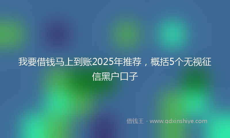 我要借钱马上到账2025年推荐，概括5个无视征信黑户口子