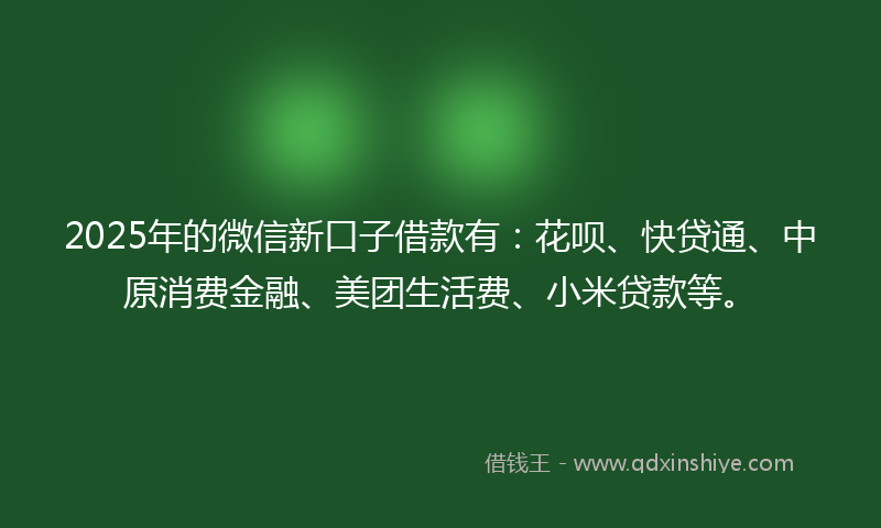 2025年的微信新口子借款有：花呗、快贷通、中原消费金融、美团生活费、小米贷款等。