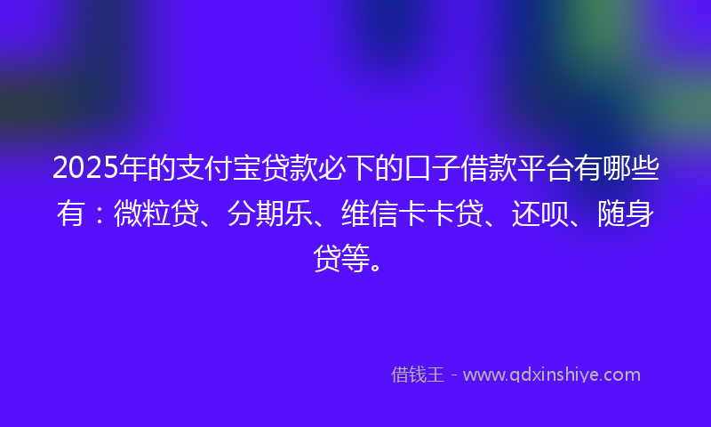 2025年的支付宝贷款必下的口子借款平台有哪些有：微粒贷、分期乐、维信卡卡贷、还呗、随身贷等。