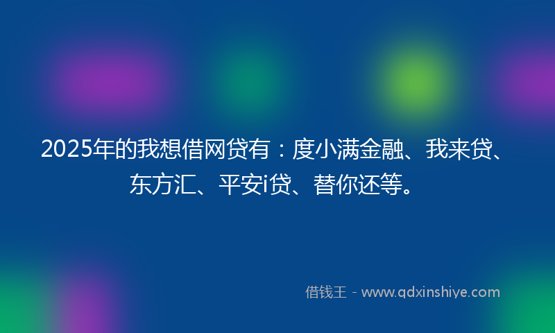 2025年的我想借网贷有：度小满金融、我来贷、东方汇、平安i贷、替你还等。