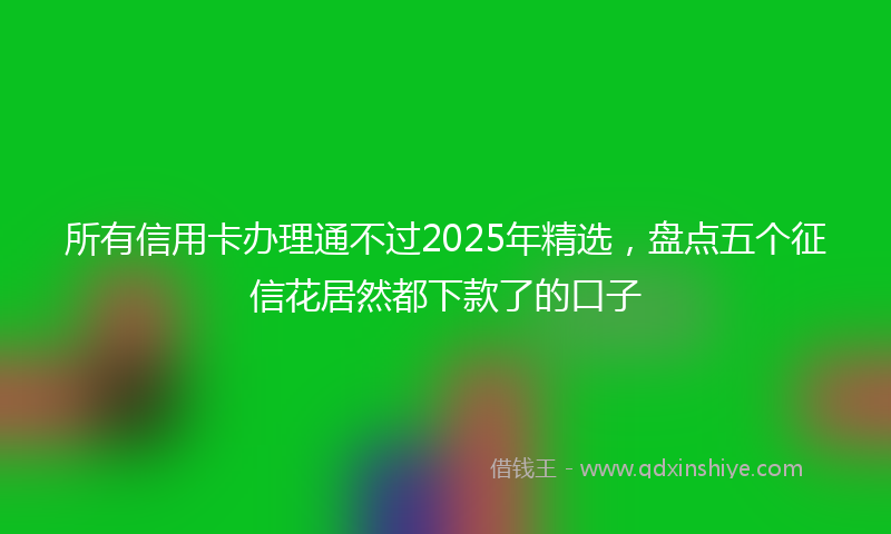 所有信用卡办理通不过2025年精选，盘点五个征信花居然都下款了的口子