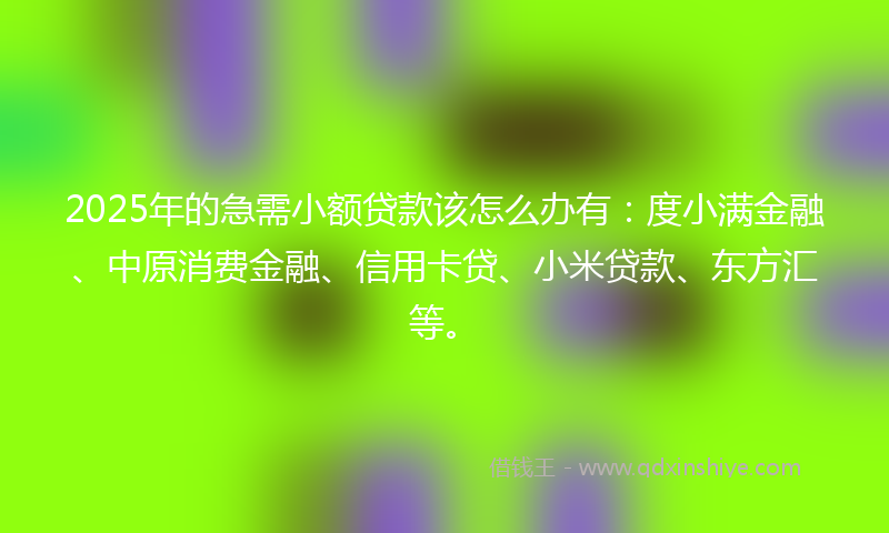 2025年的急需小额贷款该怎么办有：度小满金融、中原消费金融、信用卡贷、小米贷款、东方汇等。