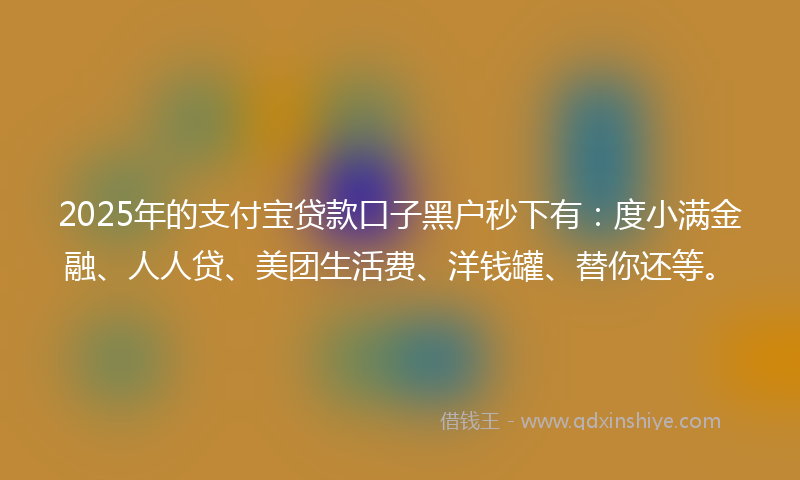 2025年的支付宝贷款口子黑户秒下有：度小满金融、人人贷、美团生活费、洋钱罐、替你还等。
