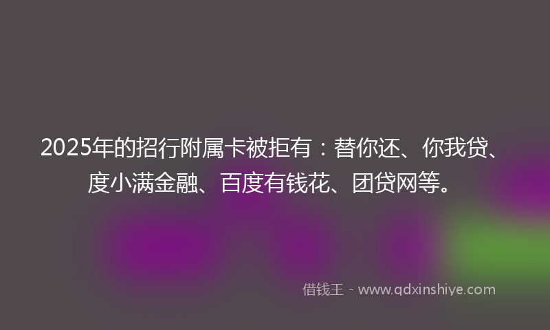 2025年的招行附属卡被拒有：替你还、你我贷、度小满金融、百度有钱花、团贷网等。