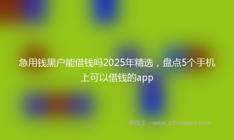 急用钱黑户能借钱吗2025年精选，盘点5个手机上可以借钱的app
