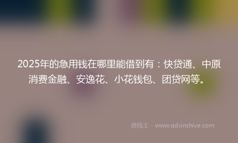 2025年的急用钱在哪里能借到有：快贷通、中原消费金融、安逸花、小花钱包、团贷网等。