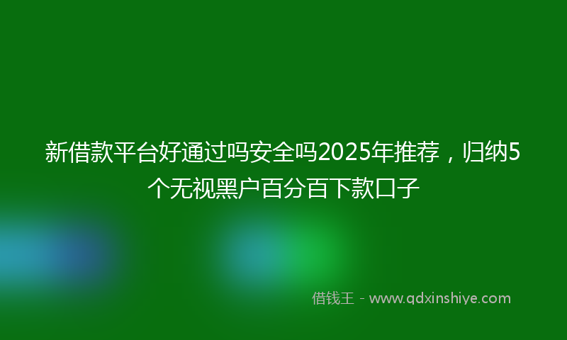 新借款平台好通过吗安全吗2025年推荐，归纳5个无视黑户百分百下款口子