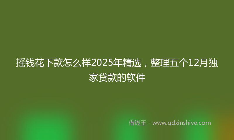 摇钱花下款怎么样2025年精选，整理五个12月独家贷款的软件