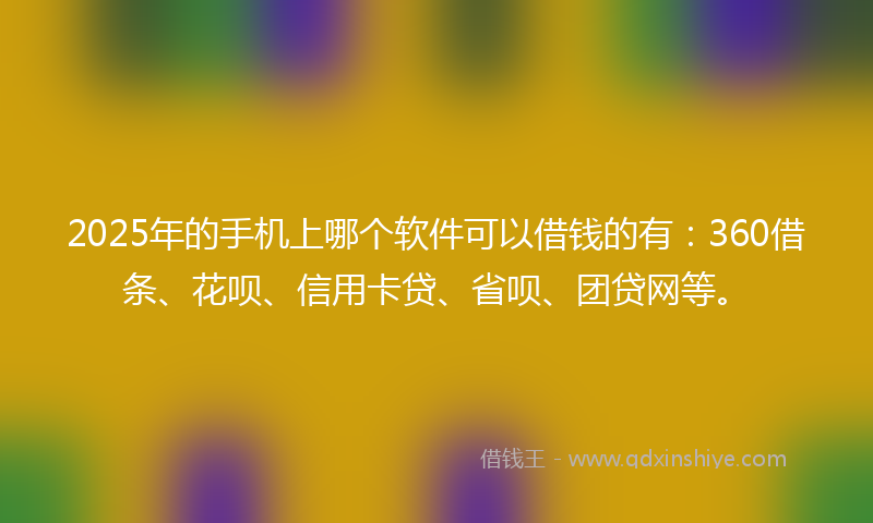 2025年的手机上哪个软件可以借钱的有：360借条、花呗、信用卡贷、省呗、团贷网等。