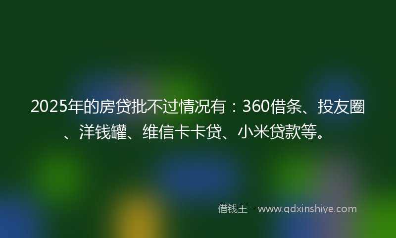 2025年的房贷批不过情况有：360借条、投友圈、洋钱罐、维信卡卡贷、小米贷款等。