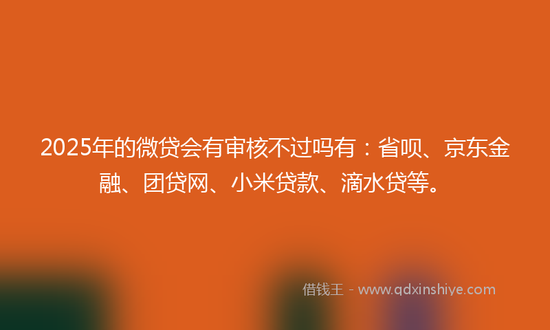 2025年的微贷会有审核不过吗有：省呗、京东金融、团贷网、小米贷款、滴水贷等。