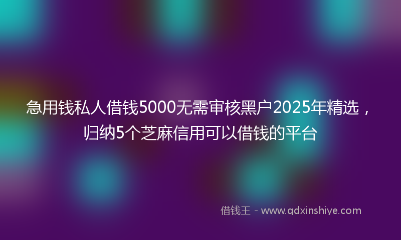 急用钱私人借钱5000无需审核黑户2025年精选，归纳5个芝麻信用可以借钱的平台