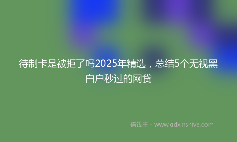 待制卡是被拒了吗2025年精选，总结5个无视黑白户秒过的网贷