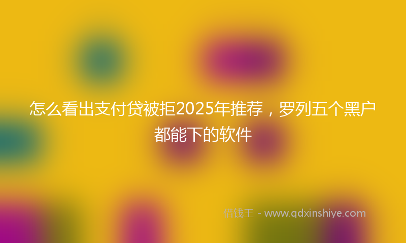 怎么看出支付贷被拒2025年推荐，罗列五个黑户都能下的软件