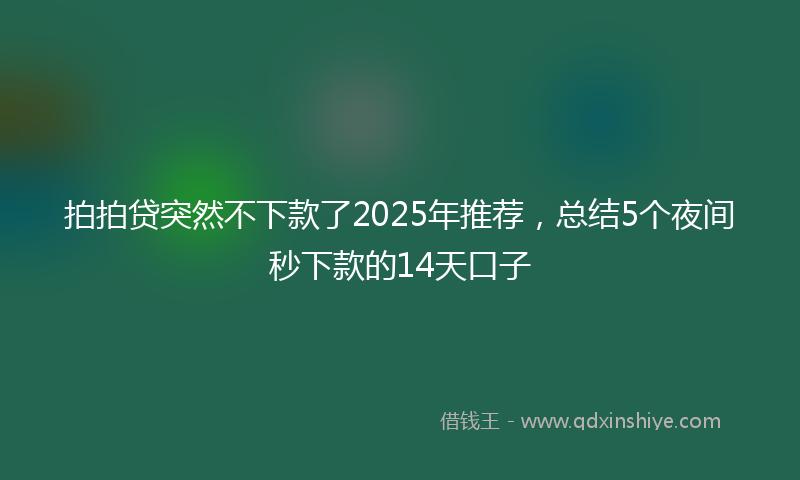 拍拍贷突然不下款了2025年推荐，总结5个夜间秒下款的14天口子