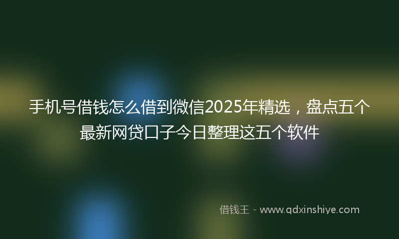 手机号借钱怎么借到微信2025年精选，盘点五个最新网贷口子今日整理这五个软件