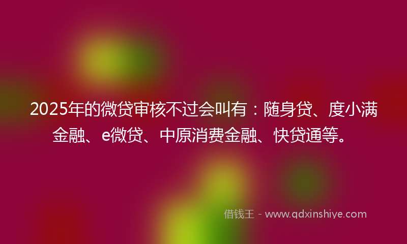 2025年的微贷审核不过会叫有：随身贷、度小满金融、e微贷、中原消费金融、快贷通等。