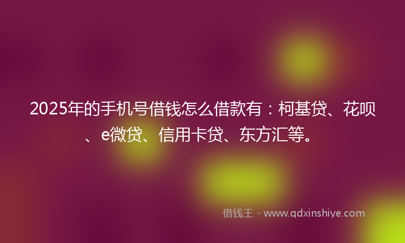 2025年的手机号借钱怎么借款有：柯基贷、花呗、e微贷、信用卡贷、东方汇等。