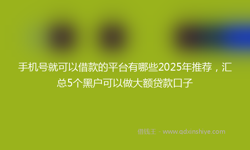 手机号就可以借款的平台有哪些2025年推荐，汇总5个黑户可以做大额贷款口子