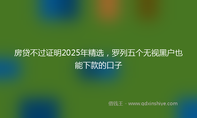 房贷不过证明2025年精选，罗列五个无视黑户也能下款的口子