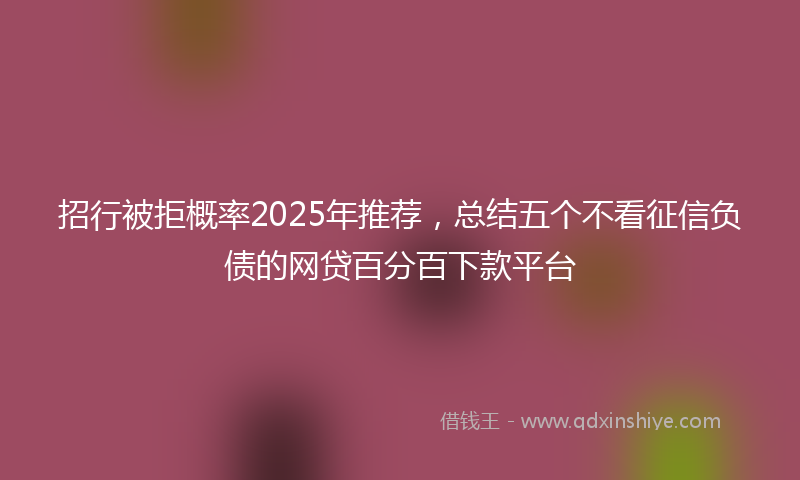 招行被拒概率2025年推荐，总结五个不看征信负债的网贷百分百下款平台