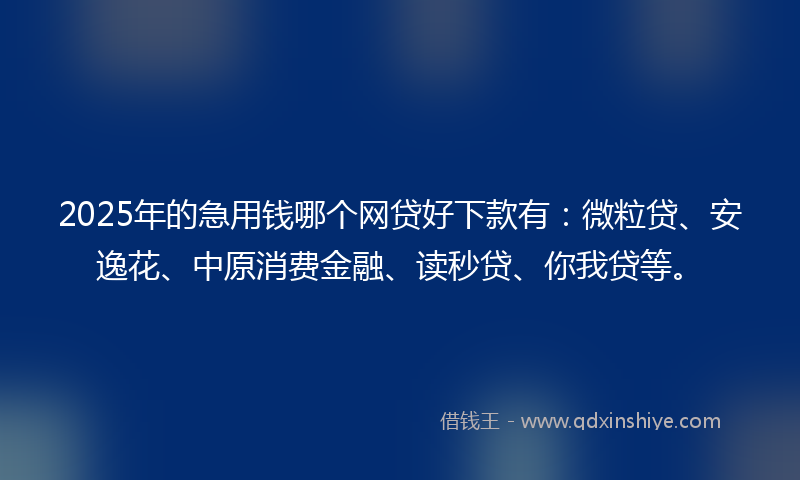 2025年的急用钱哪个网贷好下款有：微粒贷、安逸花、中原消费金融、读秒贷、你我贷等。