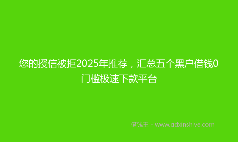 您的授信被拒2025年推荐，汇总五个黑户借钱0门槛极速下款平台