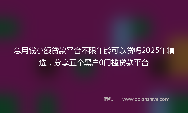 急用钱小额贷款平台不限年龄可以贷吗2025年精选，分享五个黑户0门槛贷款平台