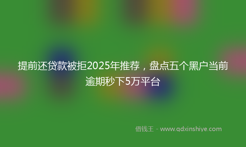 提前还贷款被拒2025年推荐，盘点五个黑户当前逾期秒下5万平台
