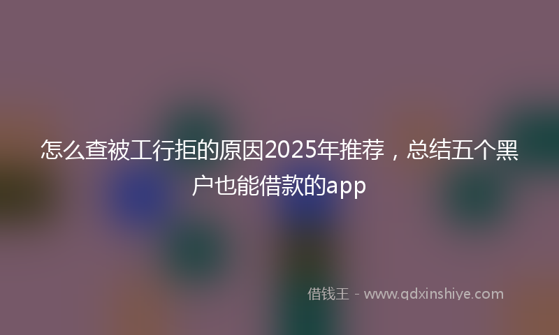 怎么查被工行拒的原因2025年推荐，总结五个黑户也能借款的app