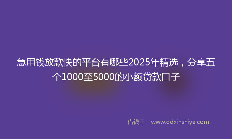 急用钱放款快的平台有哪些2025年精选，分享五个1000至5000的小额贷款口子